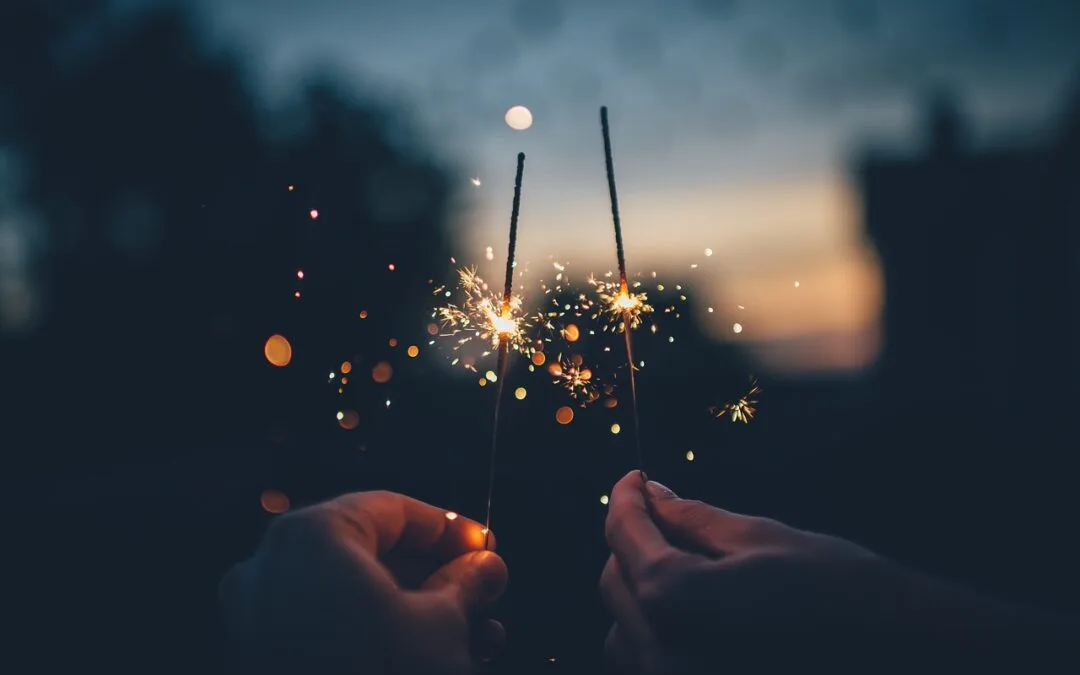 Bonne année depuis le Gîte des Quatre Alouettes !